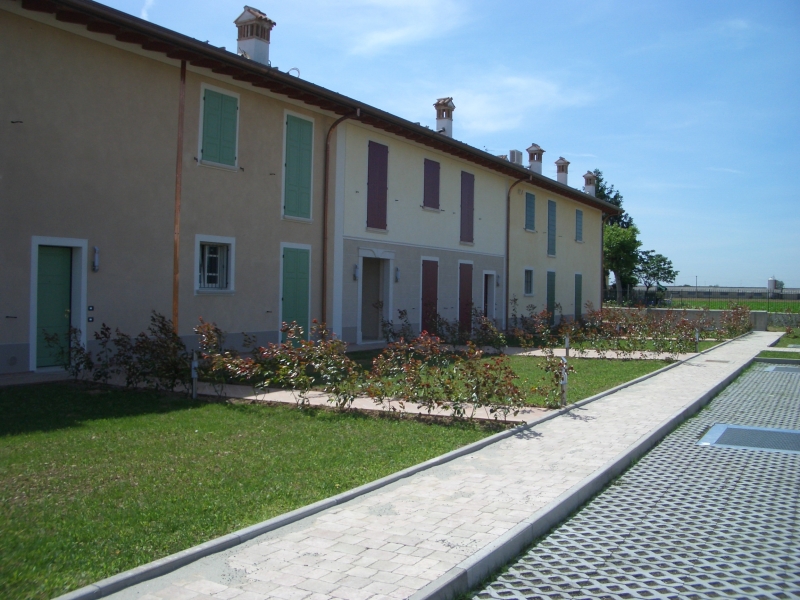 CIMG1185