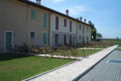 CIMG1185